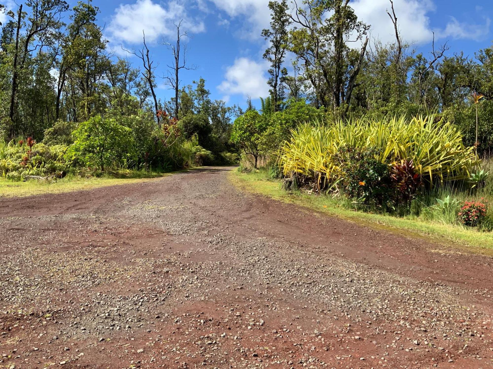 Simply Convenient Tropical Country Studio Mountain View Exteriör bild